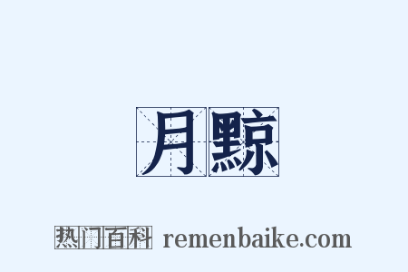 月黥是什么意思的图片